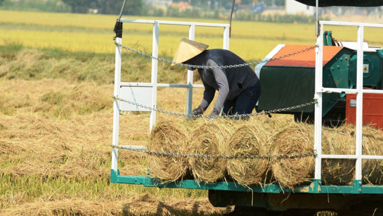 Sau vụ gặt, rơm rạ ở Ninh Bình nên được xử lý thế nào?